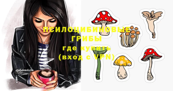 дурь Аркадак