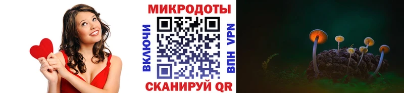 даркнет сайт  Малая Вишера  Псилоцибиновые грибы мицелий 